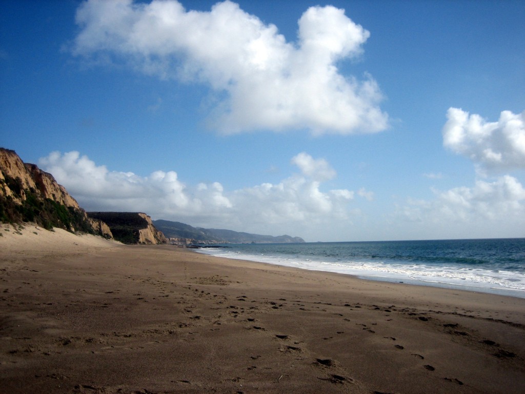 Beach at Point Reyes